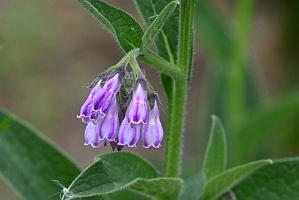 2025-06098878 Pointe Rok Neighborhood, MA